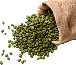 зелена кава для схуднення фото